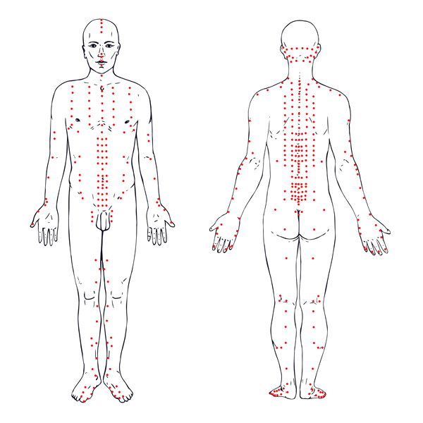 Chart showing human anatomy and acupuncture points for proper placement.